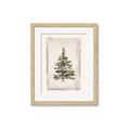 Picture of O Christmas Tree II _GroupedProduct_Rectangle_Portrait_Framed_Matted_