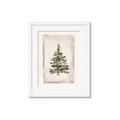 Picture of O Christmas Tree II _GroupedProduct_Rectangle_Portrait_Framed_Matted_
