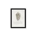 Picture of Pinecone Tidings I _GroupedProduct_Rectangle_Portrait_Framed_Matted_