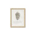 Picture of Pinecone Tidings I _GroupedProduct_Rectangle_Portrait_Framed_Matted_
