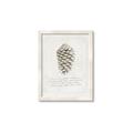 Picture of Pinecone Tidings I _GroupedProduct_Rectangle_Portrait_Framed_Matted_