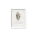 Picture of Pinecone Tidings I _GroupedProduct_Rectangle_Portrait_Framed_Matted_