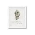 Picture of Pinecone Tidings I _GroupedProduct_Rectangle_Portrait_Framed_Matted_