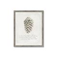 Picture of Pinecone Tidings I _GroupedProduct_Rectangle_Portrait_Framed_Matted_