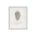 Picture of Pinecone Tidings I _GroupedProduct_Rectangle_Portrait_Framed_Matted_