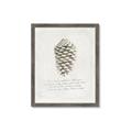 Picture of Pinecone Tidings I _GroupedProduct_Rectangle_Portrait_Framed_Matted_