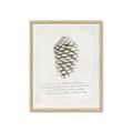 Picture of Pinecone Tidings I _GroupedProduct_Rectangle_Portrait_Framed_Matted_