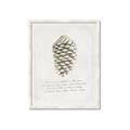 Picture of Pinecone Tidings I _GroupedProduct_Rectangle_Portrait_Framed_Matted_