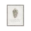 Picture of Pinecone Tidings I _GroupedProduct_Rectangle_Portrait_Framed_Matted_