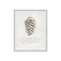 Picture of Pinecone Tidings I _GroupedProduct_Rectangle_Portrait_Framed_Matted_