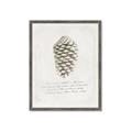 Picture of Pinecone Tidings I _GroupedProduct_Rectangle_Portrait_Framed_Matted_