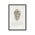 Picture of Pinecone Tidings I _GroupedProduct_Rectangle_Portrait_Framed_Matted_