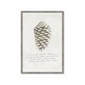 Picture of Pinecone Tidings I _GroupedProduct_Rectangle_Portrait_Framed_Matted_