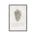 Picture of Pinecone Tidings I _GroupedProduct_Rectangle_Portrait_Framed_Matted_