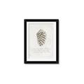 Picture of Pinecone Tidings I _GroupedProduct_Rectangle_Portrait_Framed_Matted_