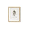 Picture of Pinecone Tidings I _GroupedProduct_Rectangle_Portrait_Framed_Matted_