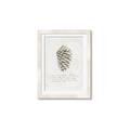 Picture of Pinecone Tidings I _GroupedProduct_Rectangle_Portrait_Framed_Matted_