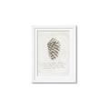 Picture of Pinecone Tidings I _GroupedProduct_Rectangle_Portrait_Framed_Matted_