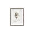 Picture of Pinecone Tidings I _GroupedProduct_Rectangle_Portrait_Framed_Matted_