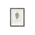 Picture of Pinecone Tidings I _GroupedProduct_Rectangle_Portrait_Framed_Matted_