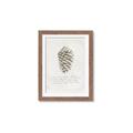 Picture of Pinecone Tidings I _GroupedProduct_Rectangle_Portrait_Framed_Matted_
