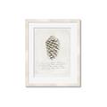 Picture of Pinecone Tidings I _GroupedProduct_Rectangle_Portrait_Framed_Matted_