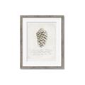 Picture of Pinecone Tidings I _GroupedProduct_Rectangle_Portrait_Framed_Matted_