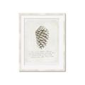 Picture of Pinecone Tidings I _GroupedProduct_Rectangle_Portrait_Framed_Matted_