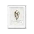Picture of Pinecone Tidings I _GroupedProduct_Rectangle_Portrait_Framed_Matted_