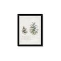 Picture of Pinecone Tidings II _GroupedProduct_Rectangle_Portrait_Framed_Matted_