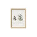 Picture of Pinecone Tidings II _GroupedProduct_Rectangle_Portrait_Framed_Matted_