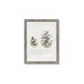 Picture of Pinecone Tidings II _GroupedProduct_Rectangle_Portrait_Framed_Matted_