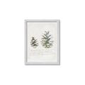 Picture of Pinecone Tidings II _GroupedProduct_Rectangle_Portrait_Framed_Matted_