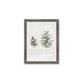 Picture of Pinecone Tidings II _GroupedProduct_Rectangle_Portrait_Framed_Matted_