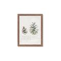 Picture of Pinecone Tidings II _GroupedProduct_Rectangle_Portrait_Framed_Matted_