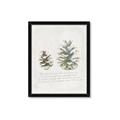 Picture of Pinecone Tidings II _GroupedProduct_Rectangle_Portrait_Framed_Matted_