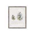 Picture of Pinecone Tidings II _GroupedProduct_Rectangle_Portrait_Framed_Matted_
