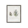 Picture of Pinecone Tidings II _GroupedProduct_Rectangle_Portrait_Framed_Matted_