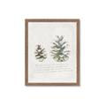 Picture of Pinecone Tidings II _GroupedProduct_Rectangle_Portrait_Framed_Matted_