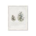 Picture of Pinecone Tidings II _GroupedProduct_Rectangle_Portrait_Framed_Matted_