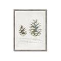 Picture of Pinecone Tidings II _GroupedProduct_Rectangle_Portrait_Framed_Matted_