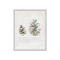 Picture of Pinecone Tidings II _GroupedProduct_Rectangle_Portrait_Framed_Matted_