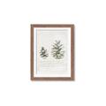 Picture of Pinecone Tidings II _GroupedProduct_Rectangle_Portrait_Framed_Matted_