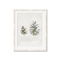 Picture of Pinecone Tidings II _GroupedProduct_Rectangle_Portrait_Framed_Matted_