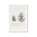 Picture of Pinecone Tidings II _GroupedProduct_Rectangle_Portrait_Framed_Matted_