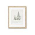Picture of Winter Wonderland Trees _GroupedProduct_Rectangle_Portrait_Framed_Matted_