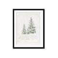 Picture of Winter Wonderland Trees _GroupedProduct_Rectangle_Portrait_Framed_Matted_