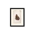 Picture of Nature's Holiday Charm I _GroupedProduct_Rectangle_Portrait_Framed_Matted_