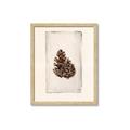 Picture of Nature's Holiday Charm I _GroupedProduct_Rectangle_Portrait_Framed_Matted_