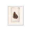 Picture of Nature's Holiday Charm I _GroupedProduct_Rectangle_Portrait_Framed_Matted_